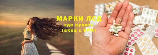индика Алексин