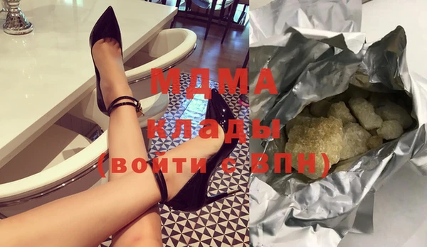 индика Алексин