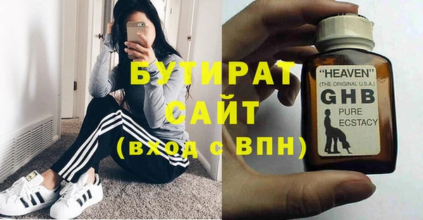 индика Алексин