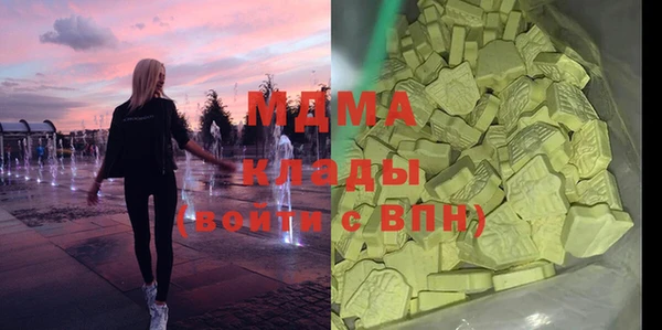 индика Алексин