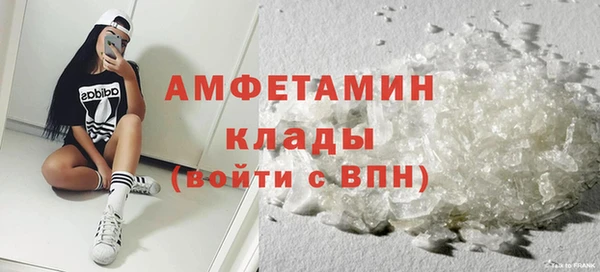 индика Алексин