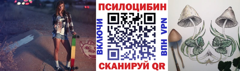 Псилоцибиновые грибы Psilocybine cubensis  KRAKEN как зайти  Миньяр 